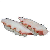 SU6 TAKO (poulpe) 2 pieces